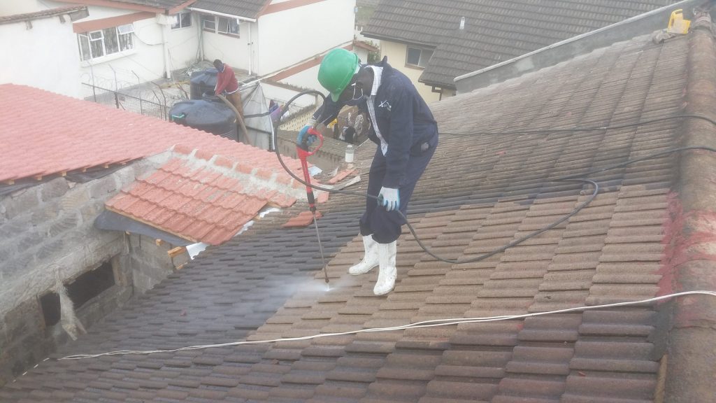 Roof Cleaning Service