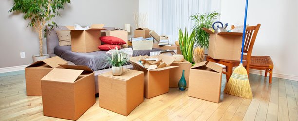 Moving Service